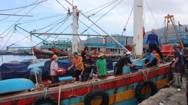 Da Nang sanctions 33 fishing vessels violating IUU fishing